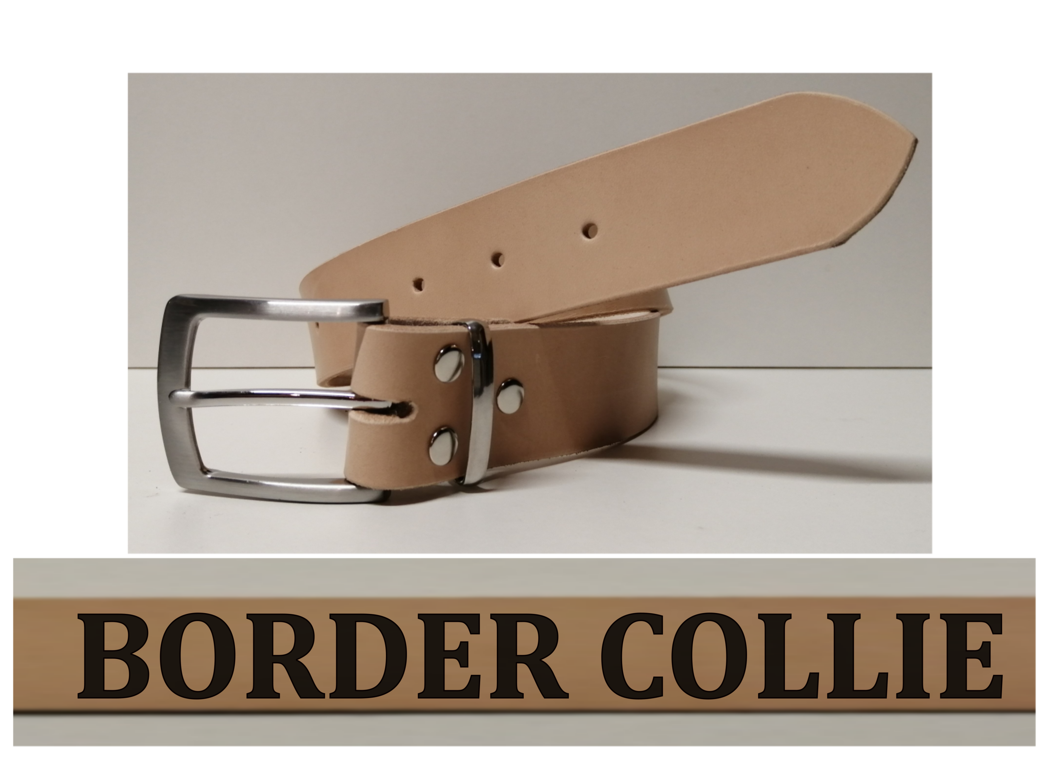 Kožený opasek Border colie s gravírováním 